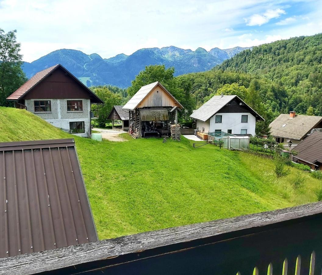 Alpine Village * Bohinj
